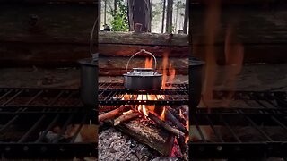 survival cooking #bushcraft