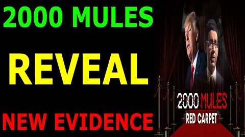 MILITARY CONTROL! 2000 MULES REVEAL NEW EVIDENCE