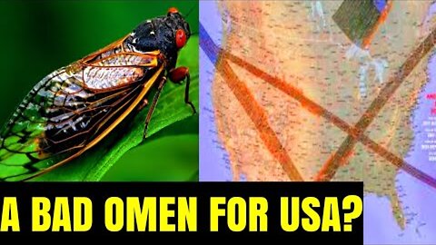 WARNING! Cicadas Will Emerge Around Solar Eclipse!!