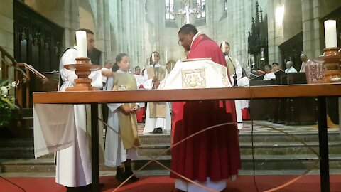 SOUTH AFRICA - Cape Town - Blessing of the Animals service at St George's Cathedral (Video) (zrp)
