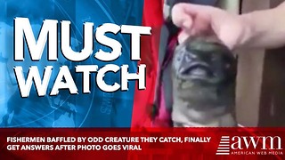 Fishermen Baffled By Odd Creature They Catch, Finally Get Answers After Photo Goes Viral