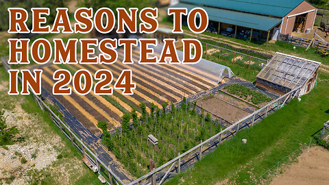 7 Reasons Why You Should Homestead This Year | Pantry Chat