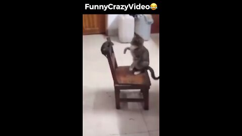 Mr FunnyCrazyVideo😂 Just Incredible Video Funny and Crazy