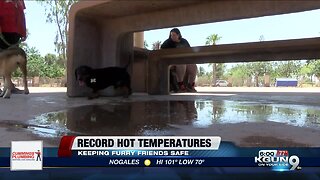 Record high temperature of 107 degrees in Tucson