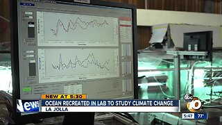 Ocean recreated in lab to study climate change