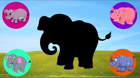 Animal Puzzle For Kids | Elephant Pig Hippocampus Rhinoceros | Puzzles For Kids