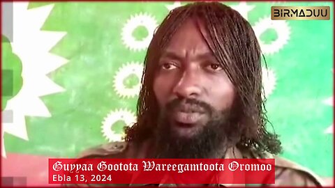 Dhaamsa Jaal Marroo |Guyyaa Gootota Wareegamtoota Oromoo | Ebla 13, 2024