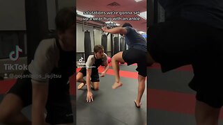 Ankle pick to body lock #mma #bjj #martialarts