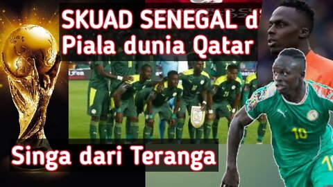Skuad Senegal di piala dunia 2022 Qatar _ Kuda Hitam dari Afrika
