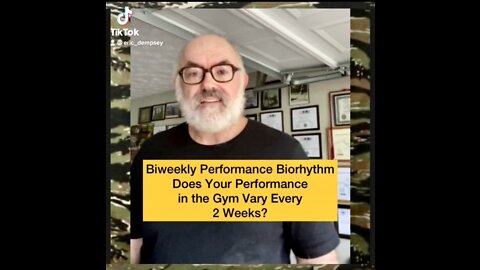 Biweekly performance biorhythm in fitness