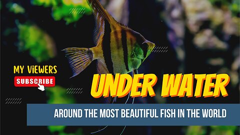 Nature's Aquarium:Discovering Underwater Fish Wonder)Nature view/ Water fish/Marine life Aquatic