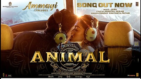Animal(Telugu), Ammayi : Song
