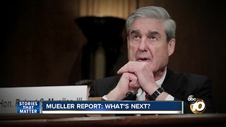 Mueller Report: What's Next?