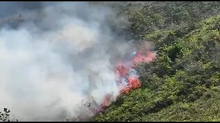 Preocupante ola de calor en #Santander, en la últimas horas se han registrado 4 incendios forestales