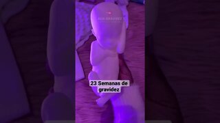 23 Semanas de gravidez