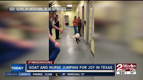 Goat, Nurse jump for joy in Texas