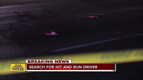 Pedestrian dies after hit-and-run crash in St. Petersburg