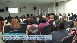 "Entrega Legal": Interessados em Adoção de Crianças devem Seguir a Lei para Não ter Problemas.