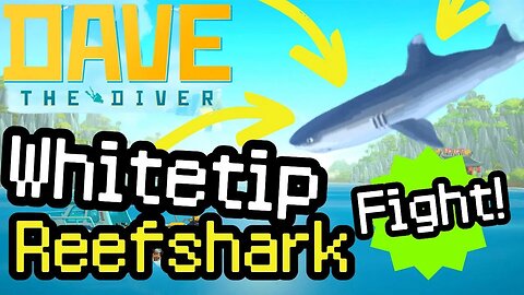 Dave the Diver Whitetip Reef Shark Fight Guide