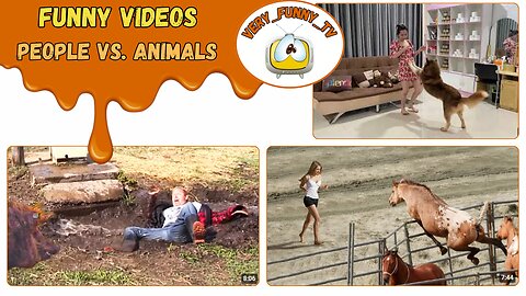 Funny videos / people vs. animals