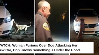 Woman Furious Over Dog Attacking Her New Car, Cop Knows Something’s Under the Hood