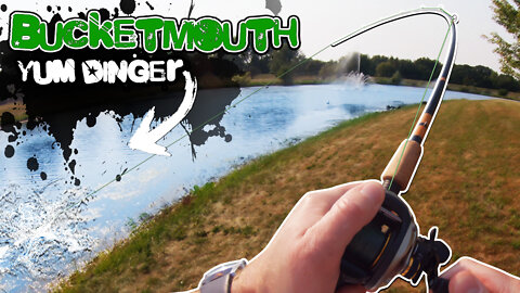 Largemouth Bass Fishing a YUM Dinger Stickbait on an Extremely Hot Morning (Bank Fishing)