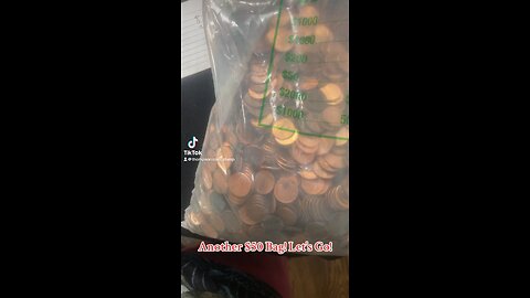 $50 Penny Bag Hunt