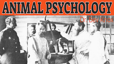 Animal Psychology - Watson, Pavlov & Thorndike - History of Psychology Series