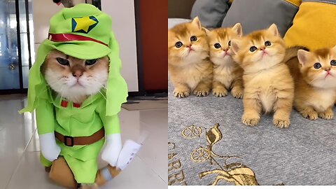 Cute baby funny cats emotional reaction videos.🤔🤔