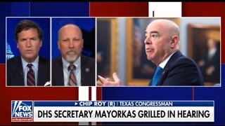 Rep Chip Roy Blasts 'Secretary of Asylum & Amnesty' For Record High Border Crossings