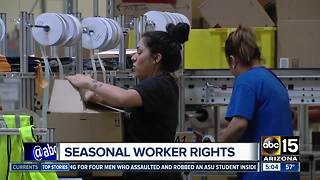 What are your holiday employment rights?