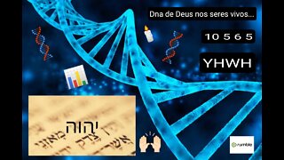 O Dna de Deus em seres vivo