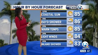 South Florida Wednesday afternoon forecast (11/7/18)