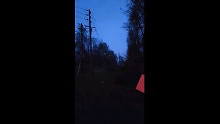 CRAZY! TREE FALLS ON POWERLINES!