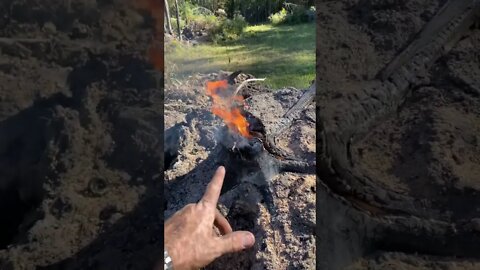 How to burn a stump out quick and fast - super fast technique