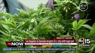 L.A. to become largest city to legalize pot