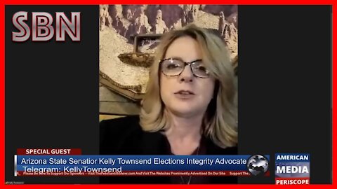 AZ State Senator Kelly Townsend Elections Integrity Advocate - Interview Aug 17th, 2021