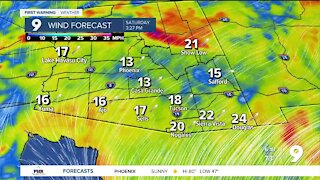 Warm and breezy for much of the week