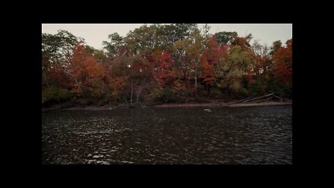 Heavy rain over a flowing river near autumn colored trees