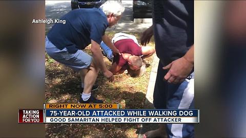 Deputies arrest Palm Harbor man after he choked an elderly woman walking her dog