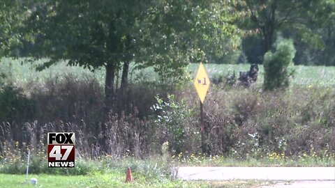 Amish community mourns after tragic buggy accident