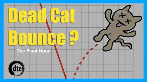 Is This a Dead Cat Bounce? - 0-DTE Final Hour