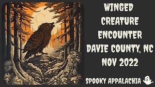 Winged Creature Encounter Davie County North Carolina November 2022