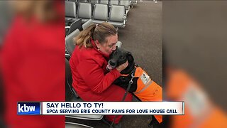 The SPCA Serving Erie County Paws For Love house call: Ty