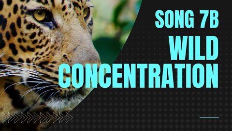 Wild Concentration (Extended Version, Song 7B, piano, ragtime music)