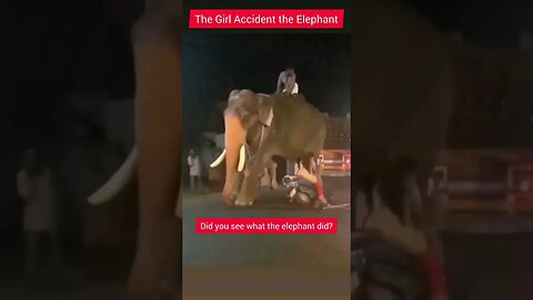 OMG 😮😮 Did you see what the elephant did?#elephant #elephantattack #girlacting #xxx #accident #2023