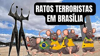 TIREM OS RATOS TERRORISTAS DE BRASÍLIA!