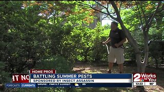 Home Pros: Battling summer pests