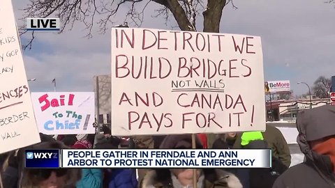 Metro Detroiters protesting Trump's emergency delcaration