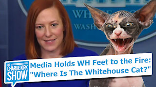 Media Holds WH Feet to the Fire: "Where Is The Whitehouse Cat?"
